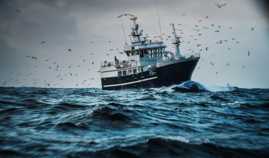 PRESS RELEASE – 25 January 2013 Sustainable Fisheries Partnership welcomes MSC certification recommendation for Russian pollock fishery